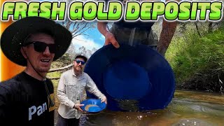 We Explored The Creek For Fresh GOLD Deposits [upl. by Kus]