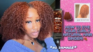 HOW TO DYE YOUR CURLY NATURAL HAIR GINGER 🥕 no damage ✨ L’oréal Hi Colors SOFT AUBURN H5 [upl. by Annig]