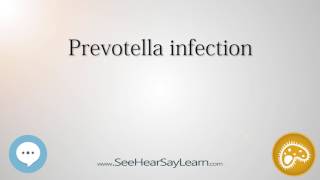 Prevotella infection 🔊 [upl. by Tabbie277]