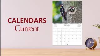 Current Wall Calendars [upl. by Adamec856]