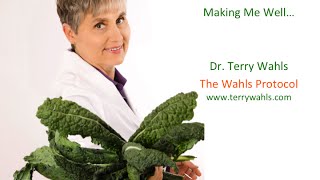 Dr Terry Wahls And The Wahls Protocol  Making Me Well [upl. by Torray]