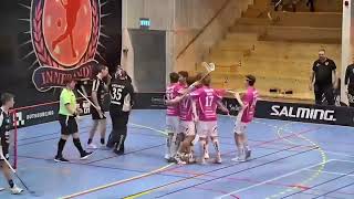 Höllviken IBF vs Hovslätts IK Highlights Allsvenskan Södra [upl. by Neenad]