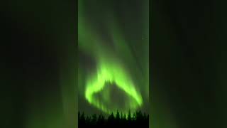 Brilliant northern lights illuminate Lapland sky auroraboreal northernlights shorts nature sky [upl. by Harv504]