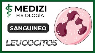 Clase 33 Fisiología Sanguínea  Leucocitos e Inflamación IGdoctorpaiva [upl. by Neerac]