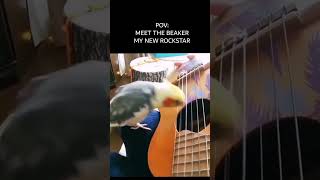 Beaker Plays Guitar and Sing Like a Pro [upl. by Lebam896]