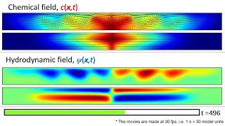 Chemo Marangoni driven oscillations [upl. by Lipfert]