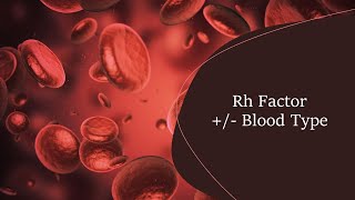 Rh Factor  Blood Types [upl. by Adara]