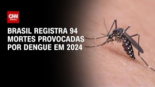 Brasil registra 94 mortes provocadas por dengue em 2024  CNN PRIME TIME [upl. by Kari]