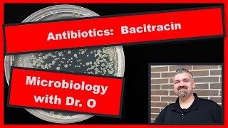 Bacitracin Antibiotic and Neosporin Microbiology [upl. by Nerek671]