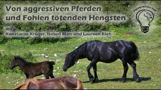 Von aggressiven Pferden und Fohlen tötenden Hengsten [upl. by Yelich]