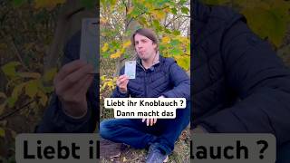 Bärlauch in der Wartezeit auf den Knoblauch [upl. by Erodoeht]