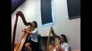 Weens Bananas and Blow performed on harps [upl. by Ailem]