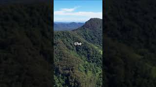 Discover Kuranda Scenic Railway quotPlease Subscribequot [upl. by Nosliw]