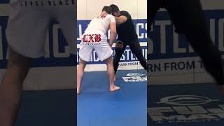 Entry Ashi Garami vs Single Leg Shin Defense [upl. by Ayekam]