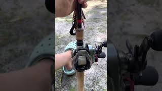 Review on the g loomis GCX rod and shimano scorpion reel [upl. by Zeena638]