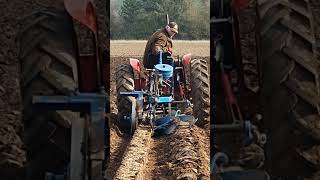 McCormick International B275 at Southwell Ploughing Match  Saturday 9th March 2024 [upl. by Odlaniger]