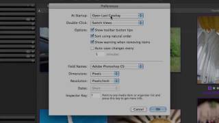 Setting Phase One Media Pro preferences  Media Pro Tutorial [upl. by Annirac]