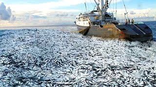 Big Net fishing Seine Net Fishing Vessel  Fishing Trip on Trawler Caught Hundreds of Tons of Fish [upl. by Anifled260]