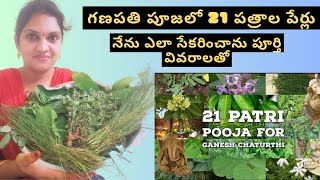 Ekavimshathi Patra  21 Patra Pooja for Vinayaka Chavithi  Vinayaka chavithi patri names in telugu [upl. by Ettenotna]