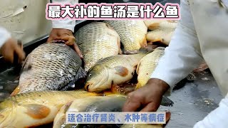 中医食疗：鱼汤补益，草鱼鲈鱼是优选 [upl. by Avuha102]