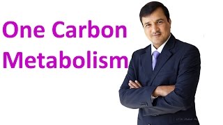 One Carbon Metabolism [upl. by Clemmie373]