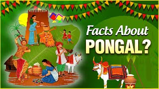 Interesting Facts amp Importance About Pongal  The Indian Harvest Festival  Pongal Festival 2022 [upl. by Kiona]