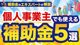 個人事業主でも使える補助金おすすめ5選 [upl. by Magdala831]