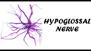 Hypoglossal Nerve Examination  Cranial Nerve 12 Examination  Examination of Hypoglossal Nerve [upl. by Asoramla257]