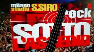 Bass Cover  Vasco Rossi  Fegato Spappolato live Rock sotto lassedio with Steinberger XM2 bass [upl. by Uah]