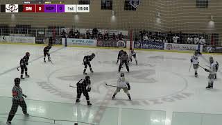 AHSHA  D3 Championship Desert Mountain vs Notre Dame Prep [upl. by Ruhl]