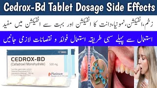 Cedrox Bd Tablet 500 mg Uses In Urdu  Cedrox Bd For Tooth In Urdu [upl. by Yllehs433]