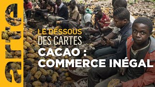 Cacao  à qui profite le chocolat   Le dessous des cartes  ARTE [upl. by Ashmead658]