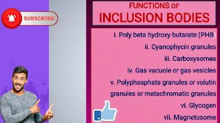 Functions of Inclusion Bodies [upl. by Notecnirp]