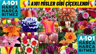 📢A101 MİSLER GİBİ ÇİÇEK KOKUSUYLA BÜYÜLÜYOR 📢 [upl. by Haem]