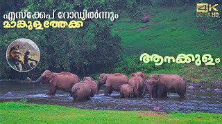 Munnar Escape road to Mankulam  Anakkulam  Ep 4 of Idukki hill stations [upl. by Nitsoj891]