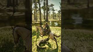 Andalusian vs Alligator 🐴🐊 [upl. by Adlesirhc]