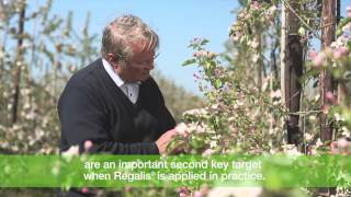 BASF Discover Regalis Plus Grower Movie [upl. by Akcebar750]