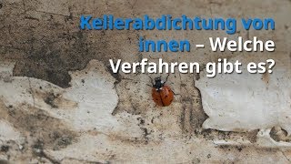 Kellerabdichtung von innen  Welche Verfahren gibt es [upl. by Ahseinad322]