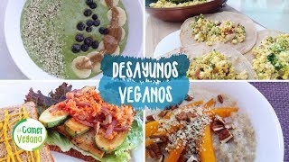 ðŸŒ± 4 DESAYUNOS NUTRITIVOS Y FÃCILES  Comer Vegano [upl. by Gnni]