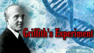 DNA as Genetic Material  Griffiths Experiment [upl. by Nonnahc235]