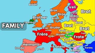 European Languages COMPARISON  Family [upl. by Cybill]