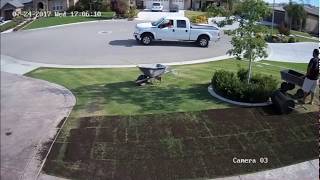 Organic Composted Manure on Lawn  Time Lapse  Central California  Amazing Results [upl. by Kettie]