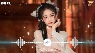 Những Lời Dối Gian Nhạc Hoa Lời việt Remix  Hồng Trần Tình Ca Remix  Nhạc Remix Tiktok 2023 [upl. by Ybbob]