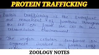 PROTEIN TRAFFICKING NOTES [upl. by Elrebmik]