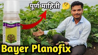 Planofix Bayer  बायर प्लानोफिक्स पूर्ण माहिती  Bayer Planofix purn mahiti planofix bayer [upl. by Jamie399]