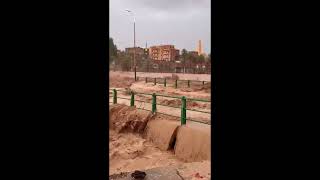 Algeria news  footage of the flooding in this afternoon in Béchar [upl. by Anilyx]