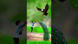 Creative videography  ideas 💡💡😱😱trending shorts viral creative videography photography [upl. by Rosse]