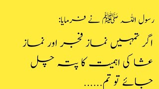 Importance of Namaz  Hadees Nabvi  Hadees Shareef [upl. by Dorie]