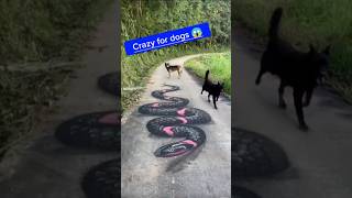 Amazing 3D Art Painting 😯 On The Road  wait for end 🥰 shorts art painting viralvideo [upl. by Isayg]