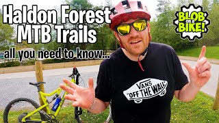 Haldon Forest MTB Trail Centre 2021  All You Need To Know [upl. by Nyrem317]